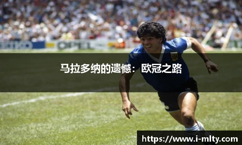 米兰体育